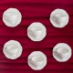 Porsima THN18902 Rose 12 Pieces for 6 People - Gold Gilded Porcelain Turkish Coffee Cup Set